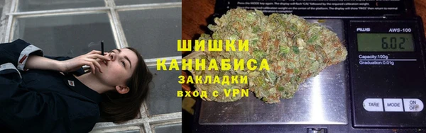 мяу мяу мука Няндома