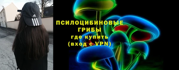 мяу мяу мука Няндома