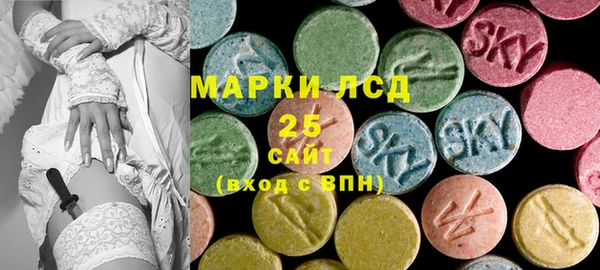 шишки Осташков