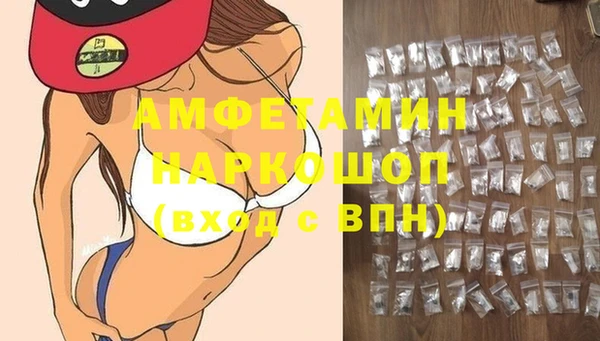 стафф Богданович