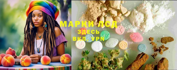 шишки Осташков