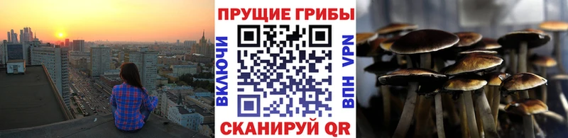 omg tor  Яровое  Галлюциногенные грибы мицелий 